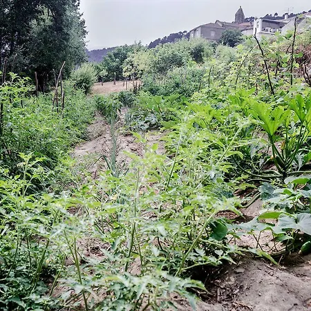 Aldea Rural