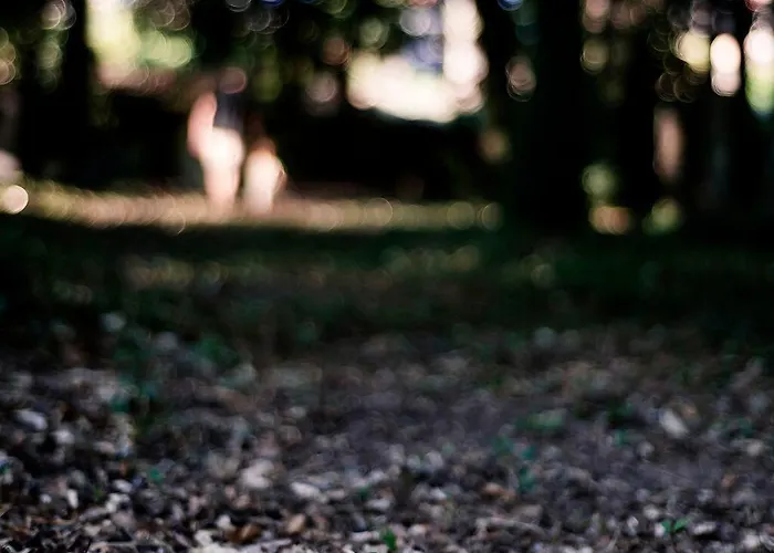 منزل ريفي Aldea Rural *