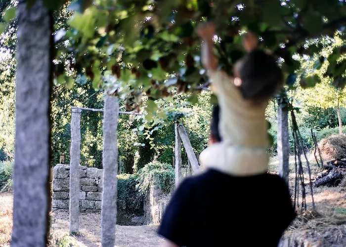 Aldea Rural Pazos de Arenteiro