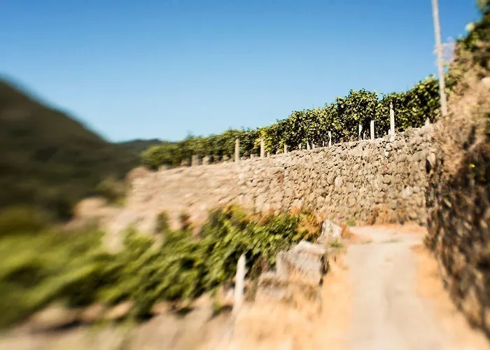 منزل ريفي Aldea Rural