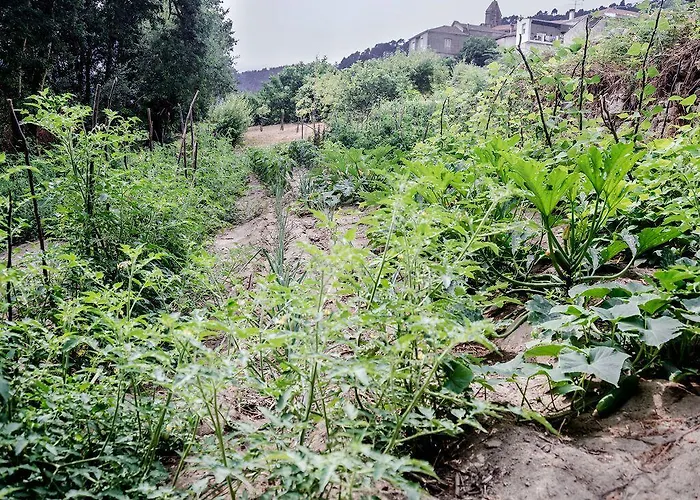 Aldea Rural