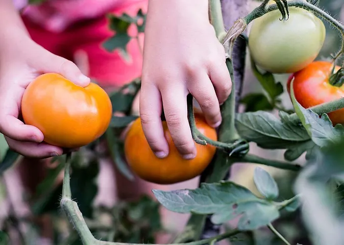 منزل ريفي Aldea Rural *